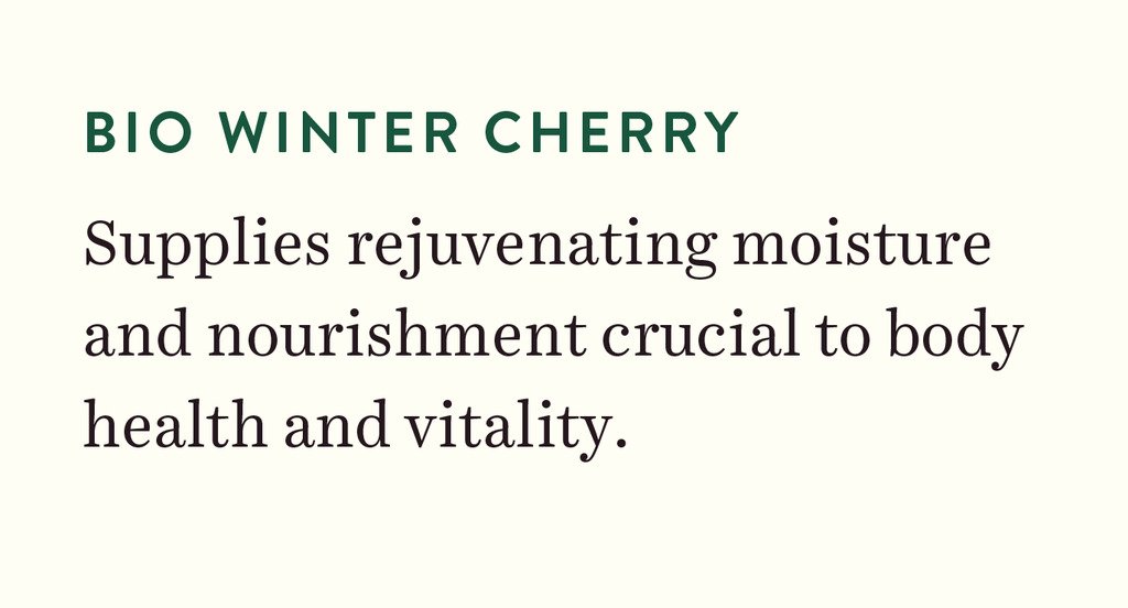 Biotique Winter Cherry Rejuvenating Body Lotion – view 2