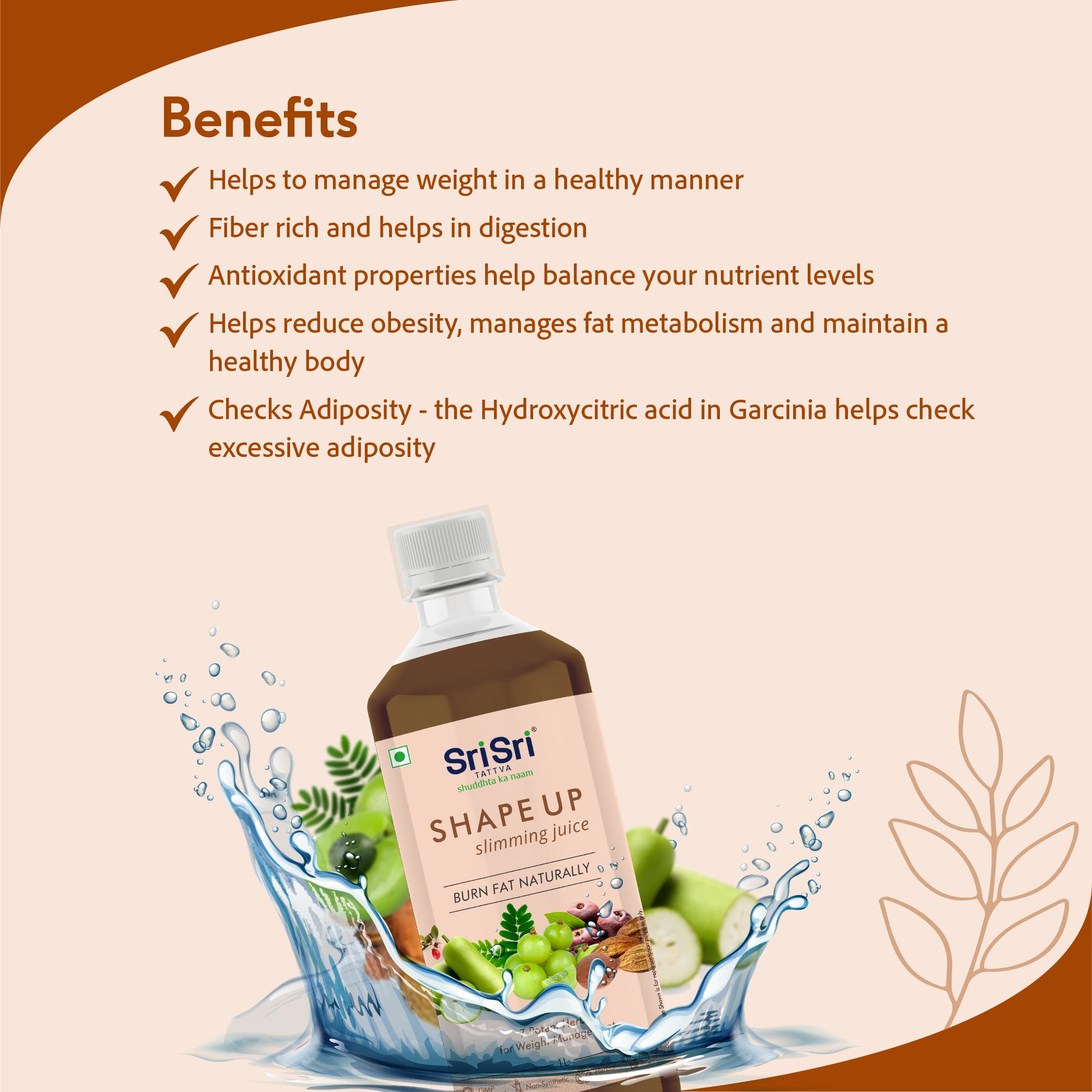 Sri Sri Tattva Shape Up Slimming Juice - Burn Fat Naturally – view 3