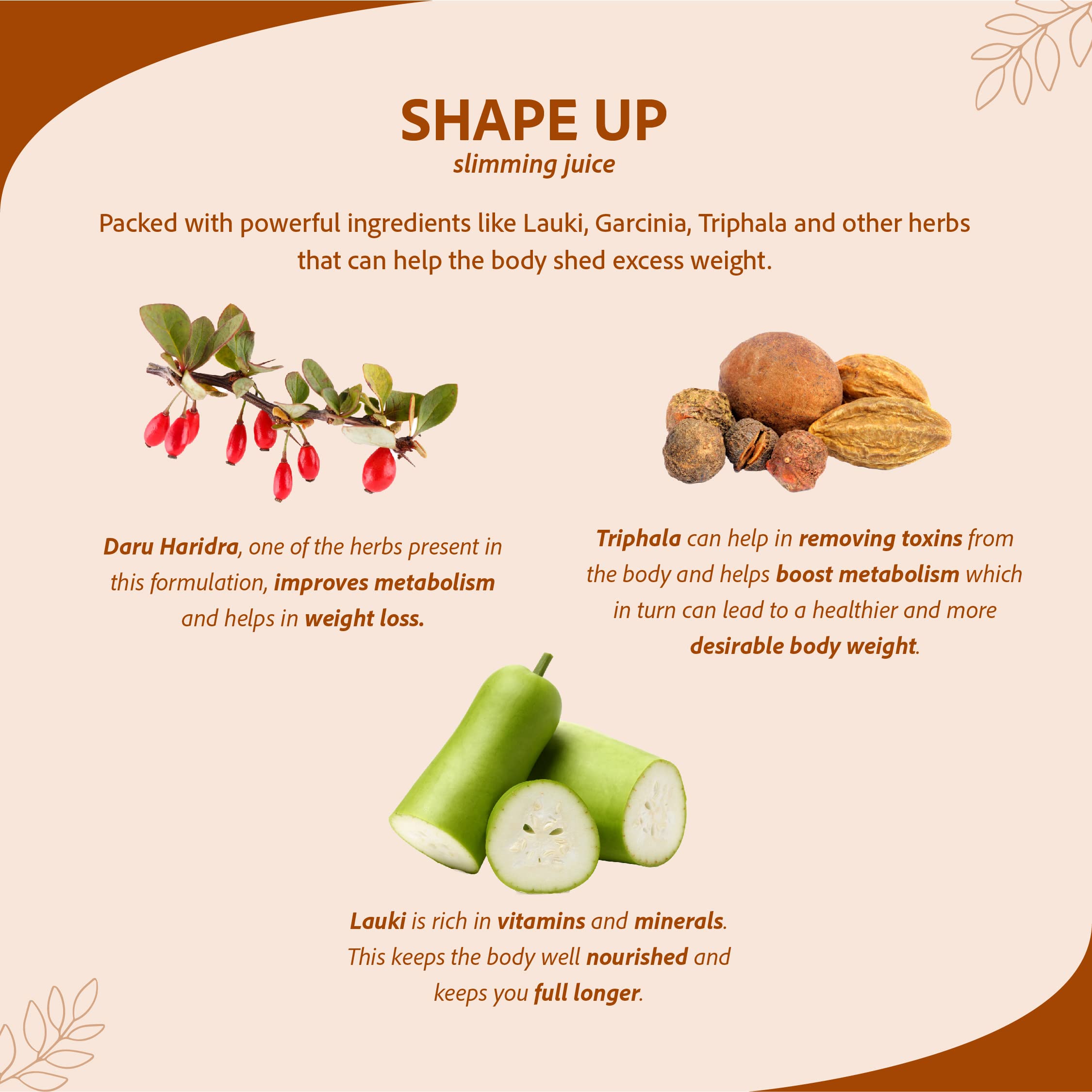 Sri Sri Tattva Shape Up Slimming Juice - Burn Fat Naturally – view 4