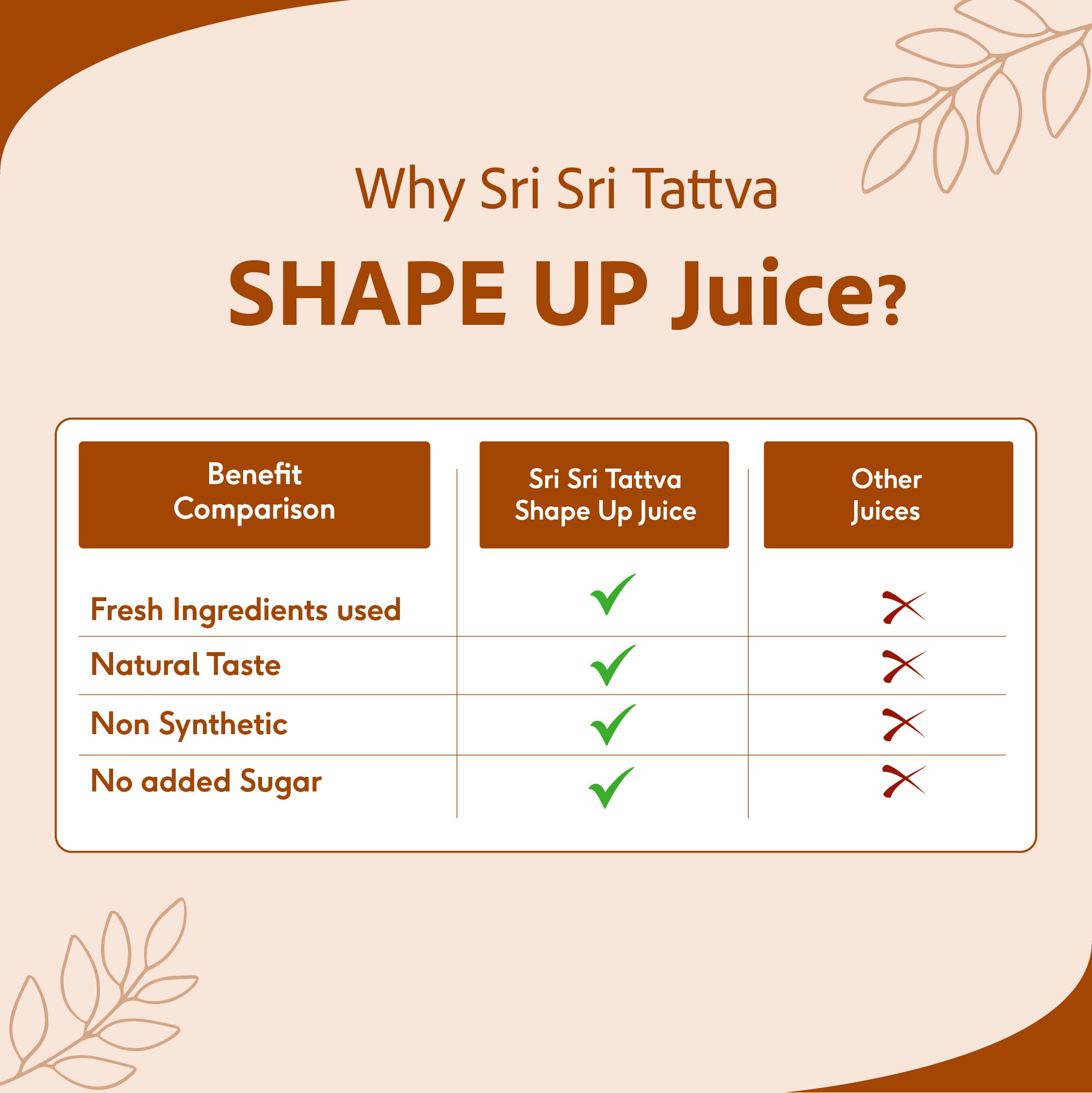 Sri Sri Tattva Shape Up Slimming Juice - Burn Fat Naturally – view 6