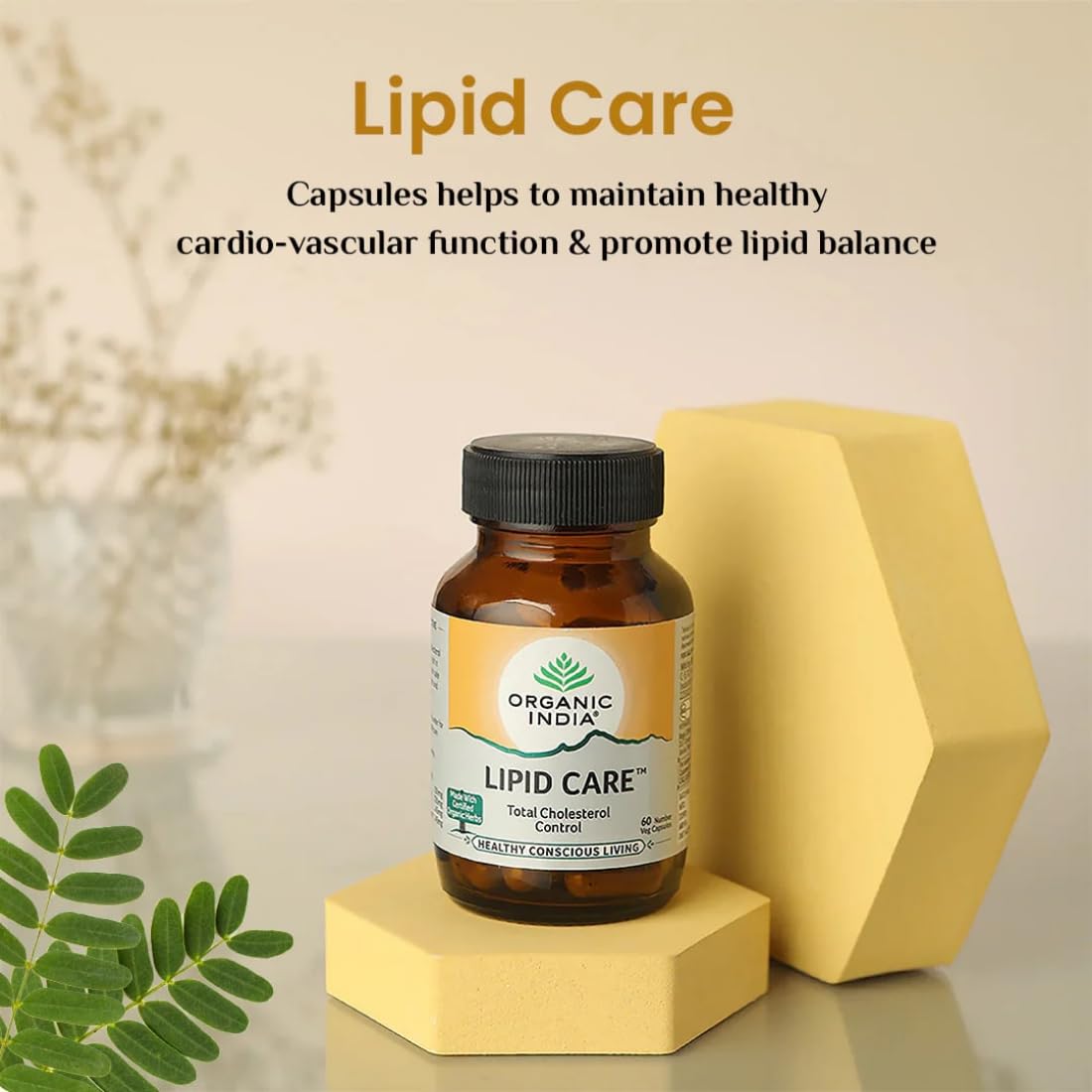 A TATA Product - Organic India Lipid Care - 60 Veg Capsules (Pack of 2) , Helps In Normal Cholesterol Levels & Lipid Levels, Lower Heart Rate & Blood Pressure, Naturally Rich In Antioxidants, GMP & NPOP Certified – view 2