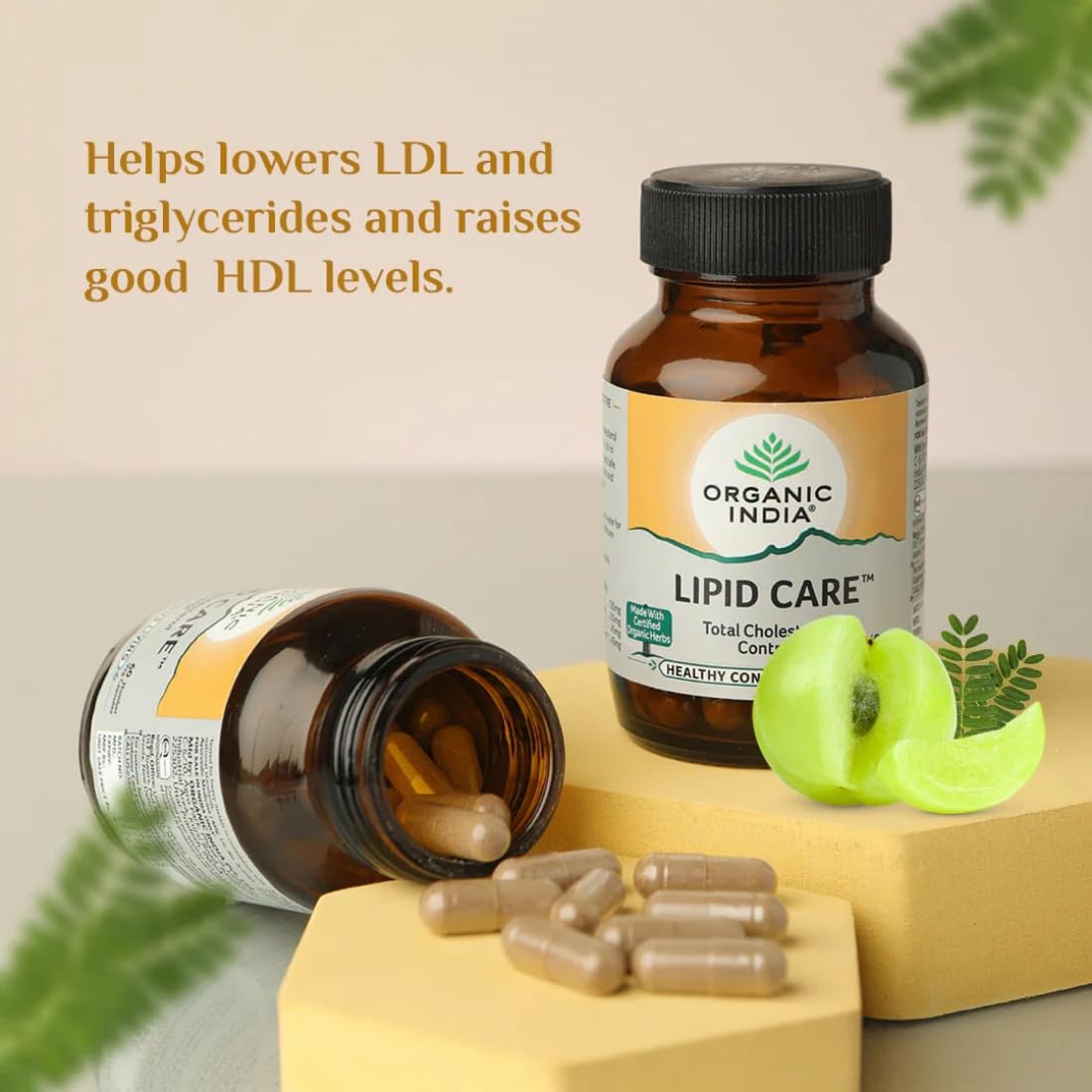 A TATA Product - Organic India Lipid Care - 60 Veg Capsules (Pack of 2) , Helps In Normal Cholesterol Levels & Lipid Levels, Lower Heart Rate & Blood Pressure, Naturally Rich In Antioxidants, GMP & NPOP Certified – view 6