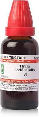 Dr. Willmar Schwabe India Thuja Occidentalis Q 30ML – view 1