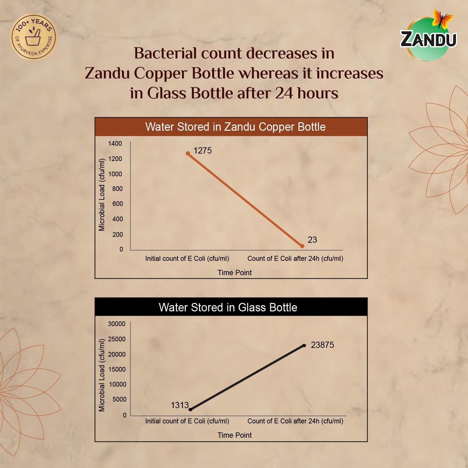 Zandu Copper Bottle (950ml): 100% Pure Copper – view 3