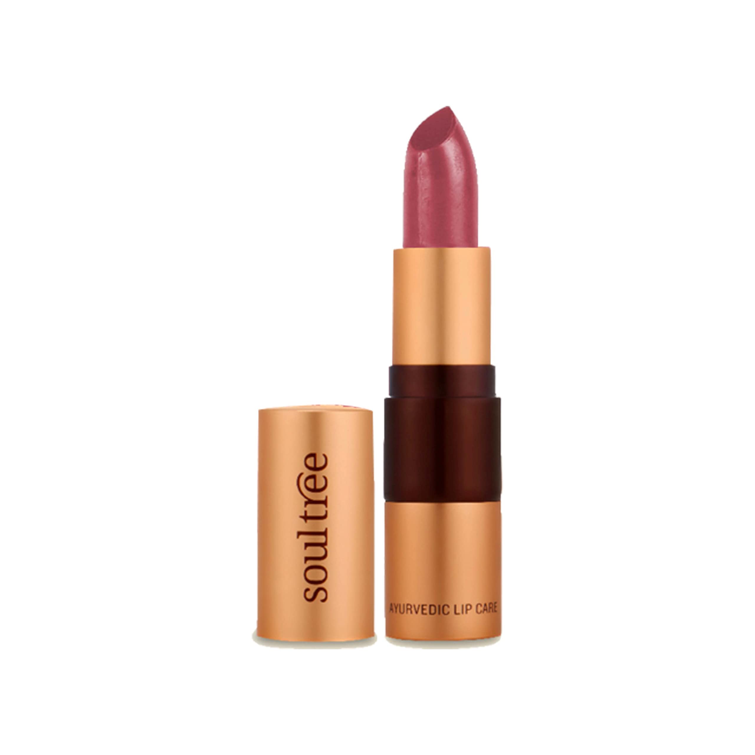 Cream-finish SoulTree Iced Plum 520 Ayurvedic lipstick tube