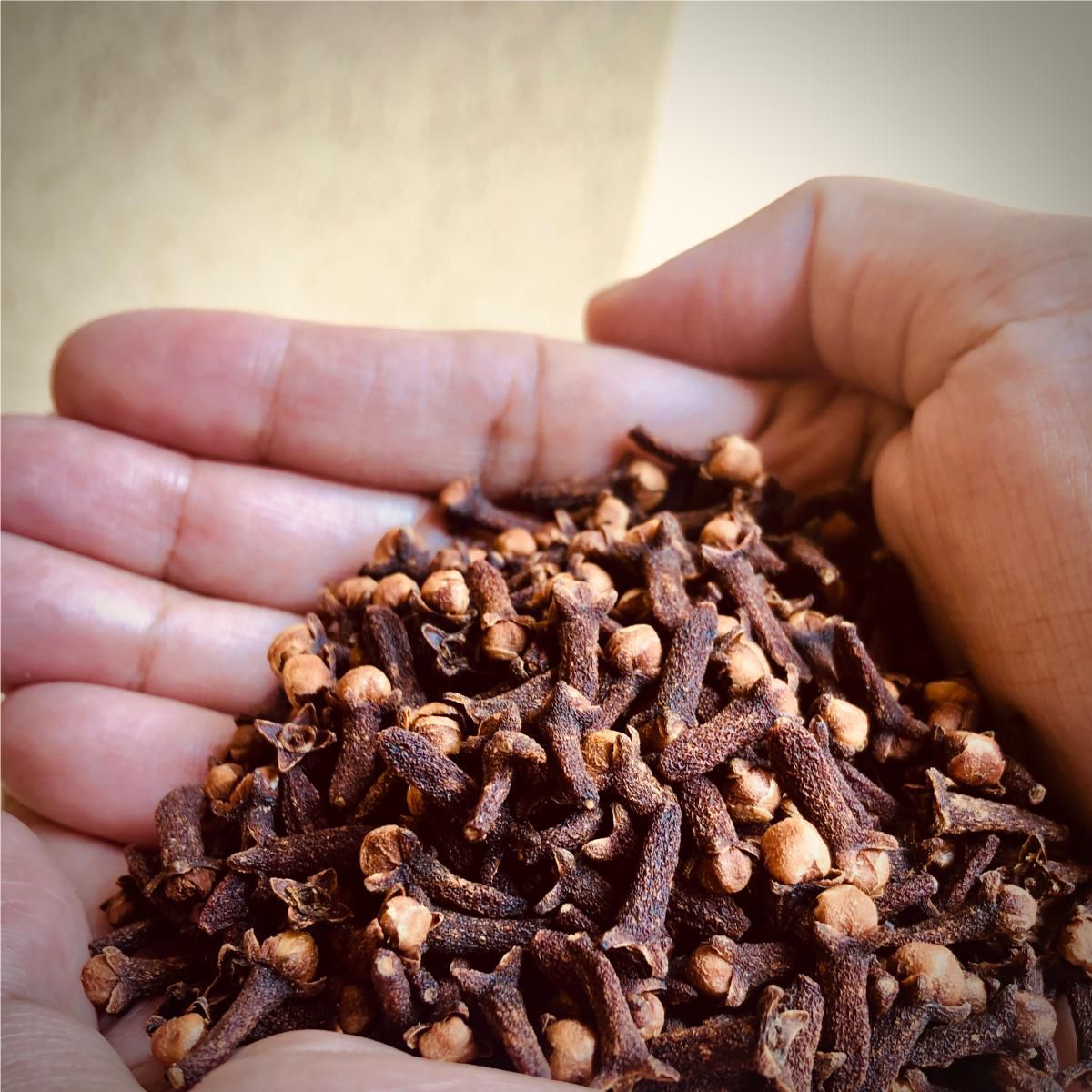 Front pack of Sansik whole cloves laung lavang, 50 grams