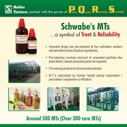 Dr.Willmar Schwabe India Sabal Serrulata Mother Tincture (4 x 30) – view 4
