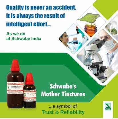 Dr.Willmar Schwabe India Sabal Serrulata Mother Tincture (4 x 30) – view 5