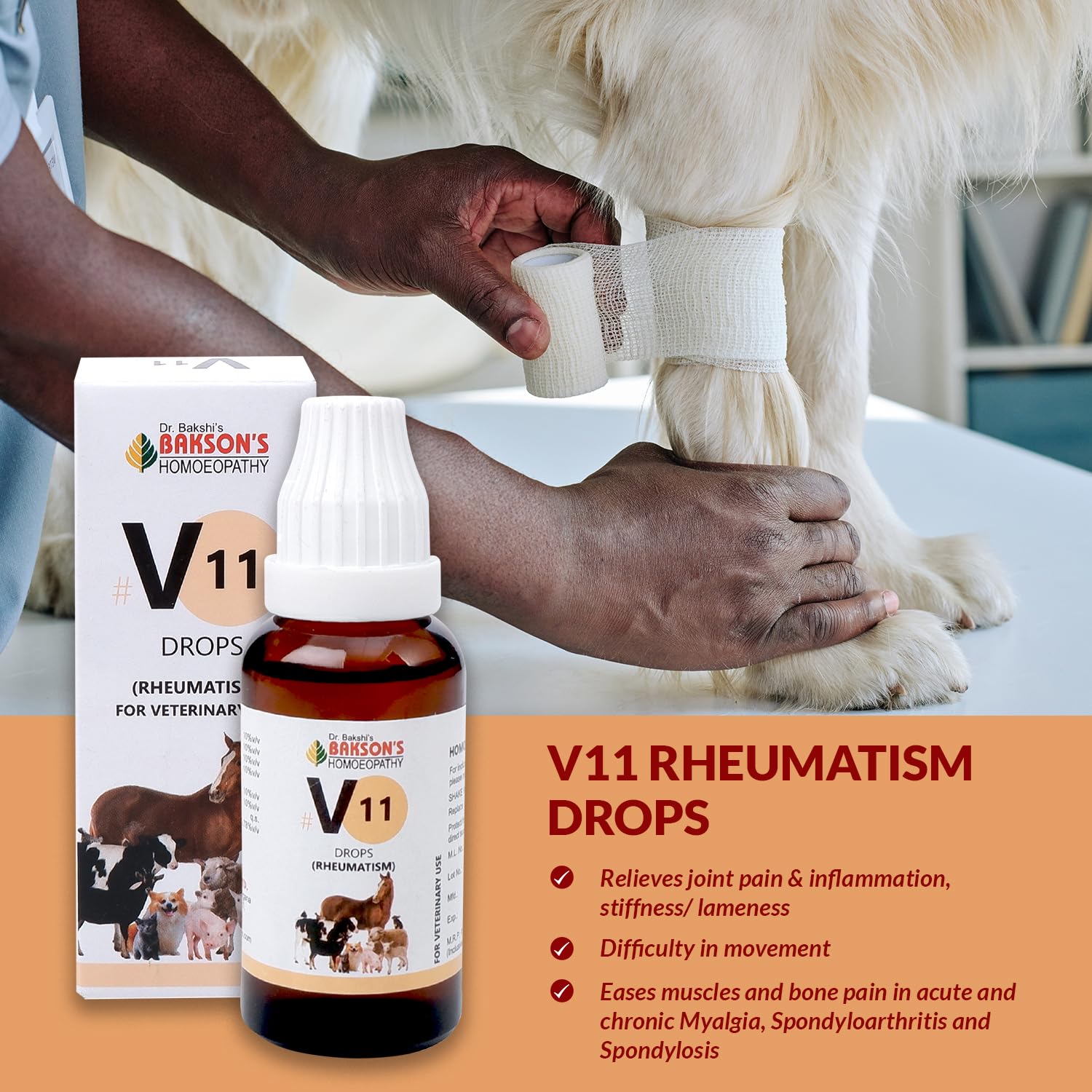 Bakson Veterinary – view 4