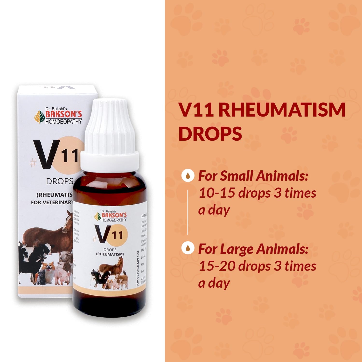 Bakson Veterinary – view 5