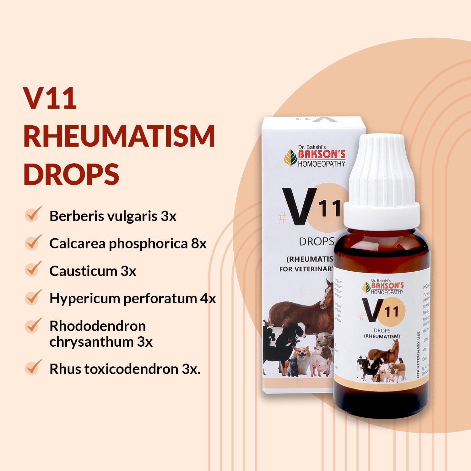 Bakson Veterinary – view 6
