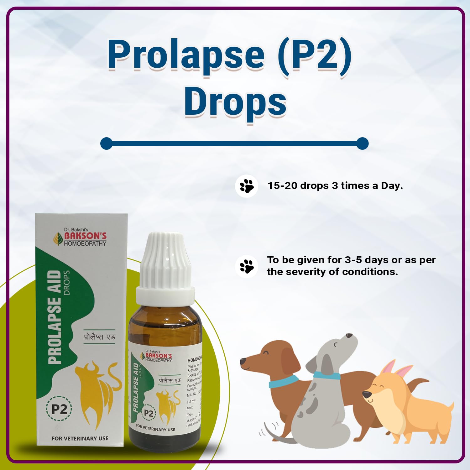 Bakson Veterinary – view 3