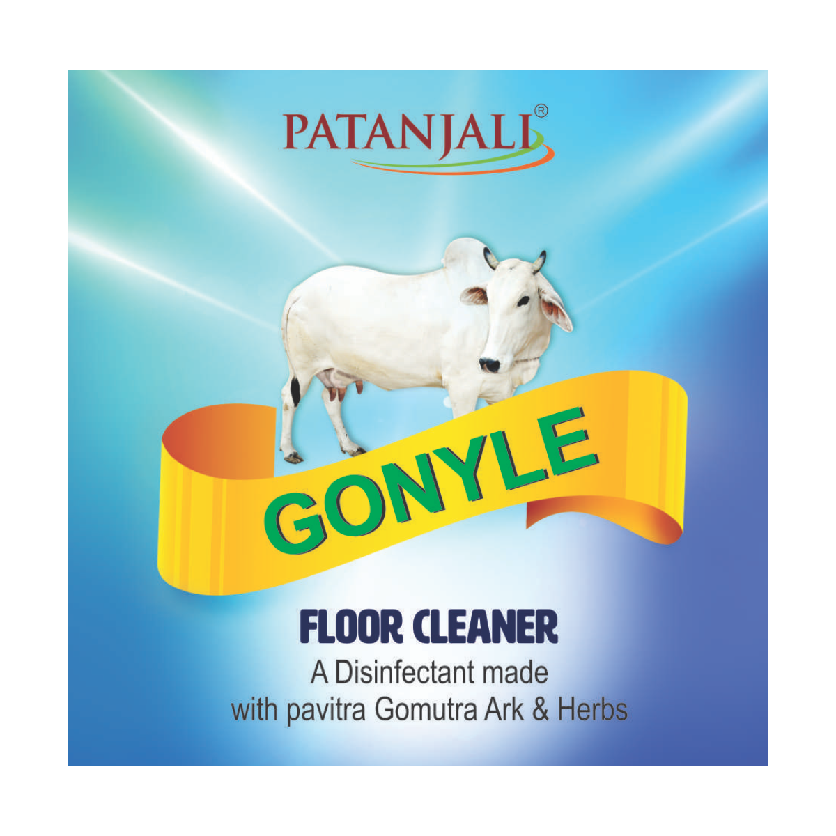 Patanjali Gonyle Floor Cleaner 1 ltr – view 6