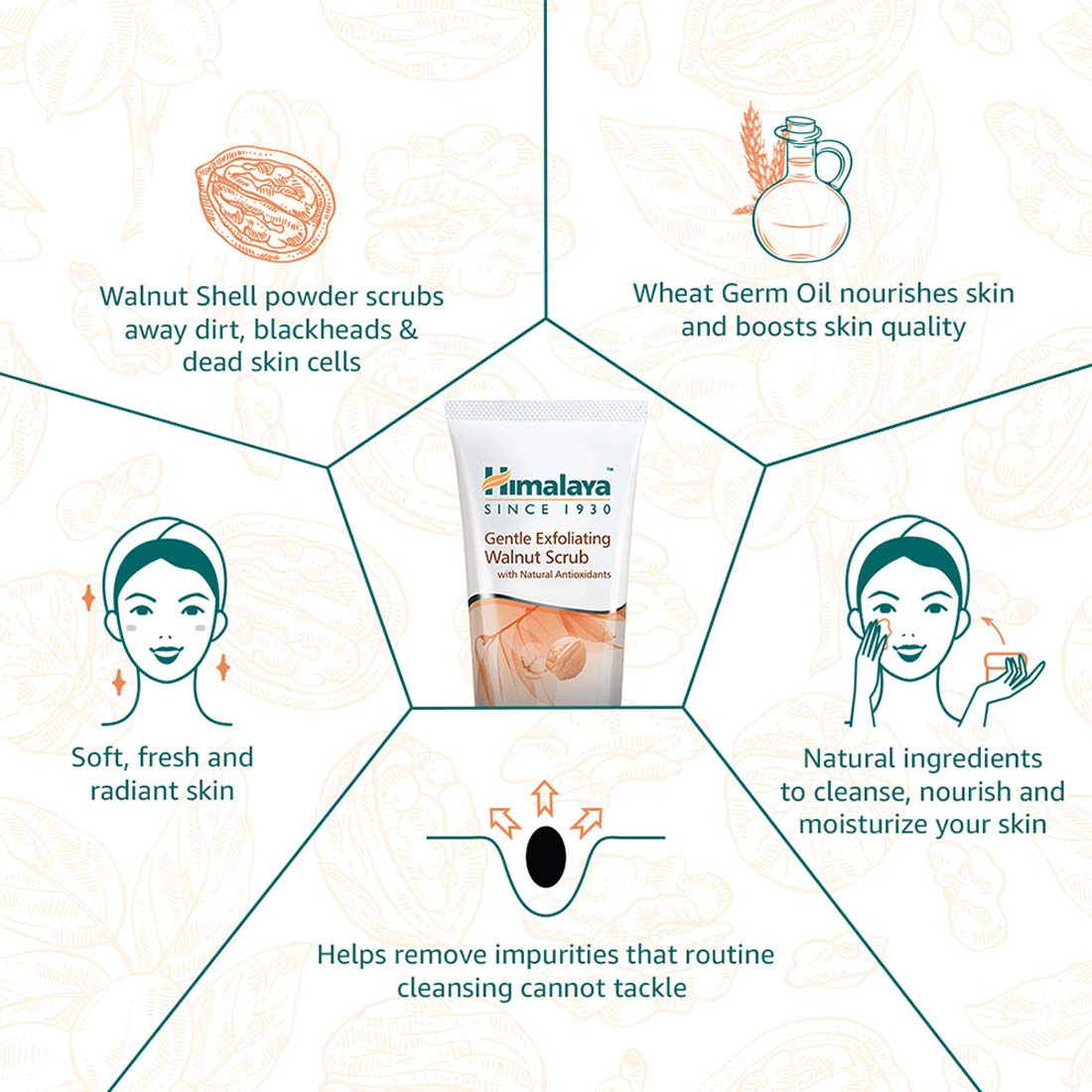 Himalaya Herbals Gentle Exfoliating Walnut Scrub, 50g – view 5