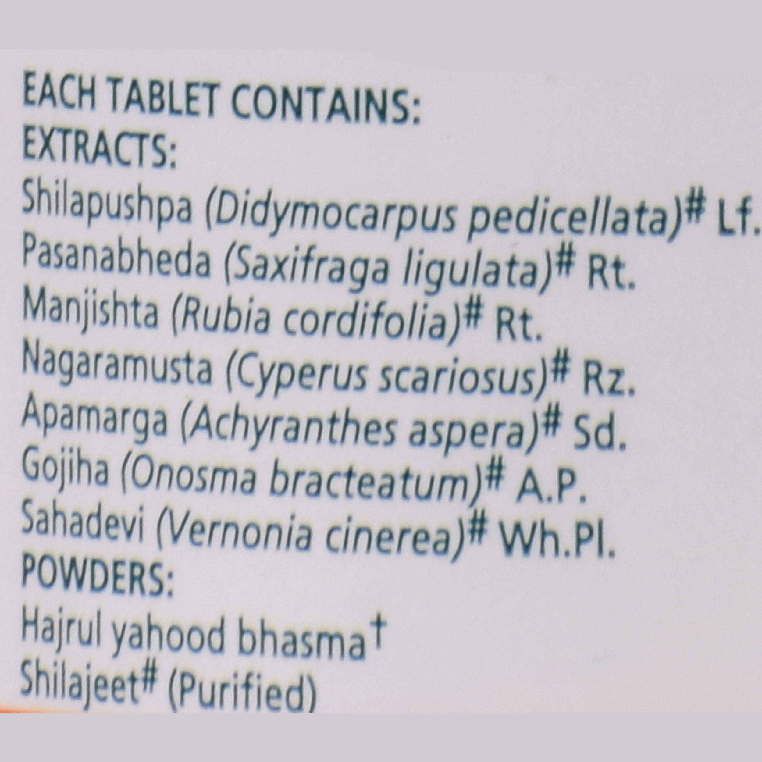 Himalaya Wellness Cystone 60 Tablets Bottle – view 4