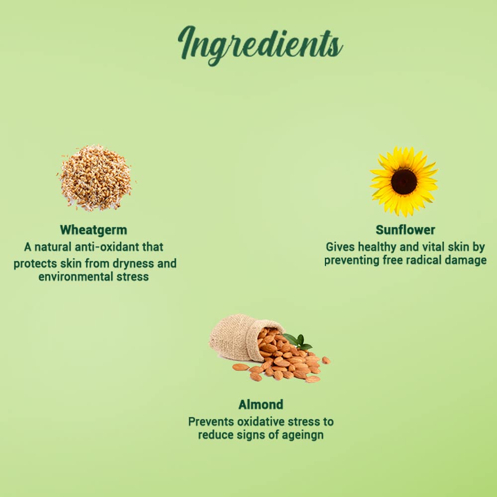 Biotique Wheat Germ Anti- Ageing Night Cream – view 4