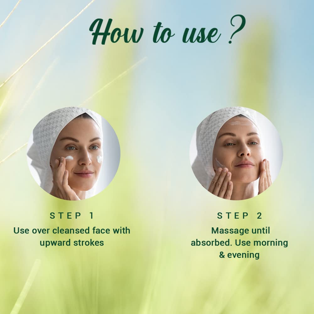 Biotique Wheat Germ Anti- Ageing Night Cream – view 7