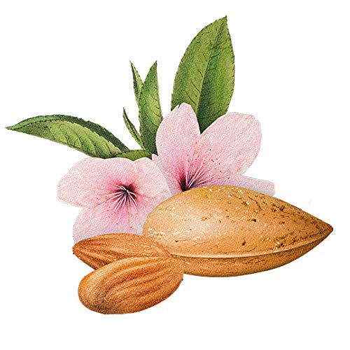 Biotique Almond Oil Soap, 75g – view 6