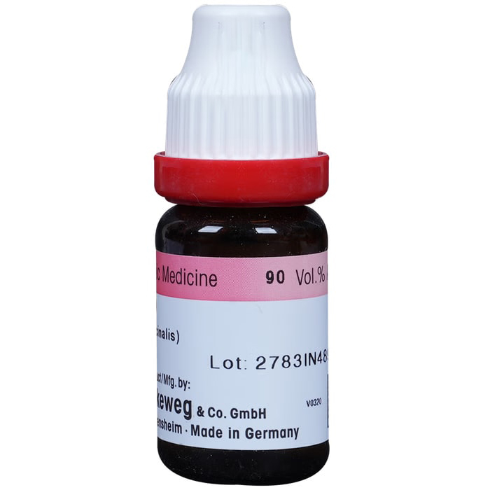Dr. Reckeweg China Dilution 200 CH – view 2