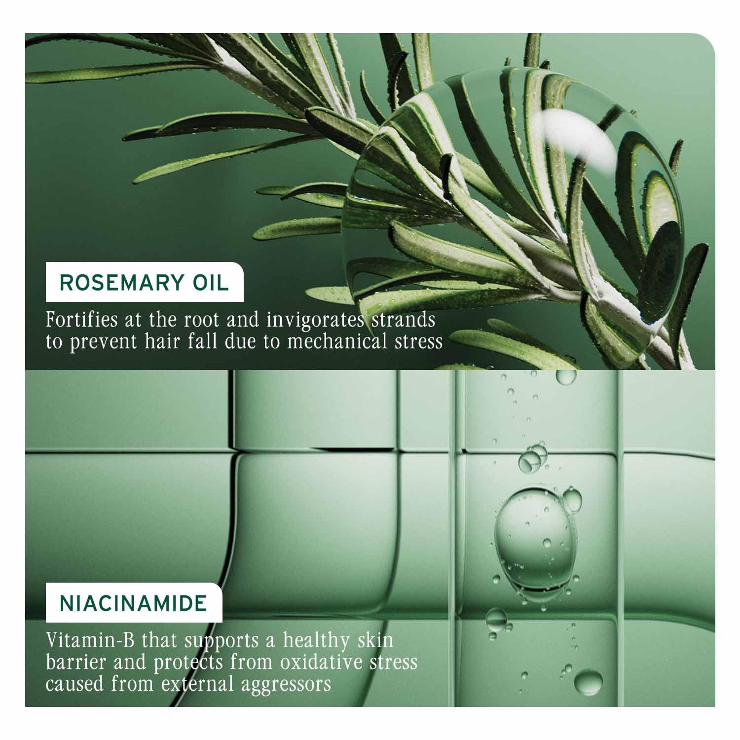 Biolage Full Rescue Anti-Breakage Shampoo, 74% less breakage & Reduces Hairfall, With Rosemary Oil & Niacinamide, Vegan & Cruelty-Free, for all hairtypes – view 4