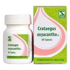 Willmar Schwabe India Crataegus Oxyacantha 1x Tablets (20g) – view 1