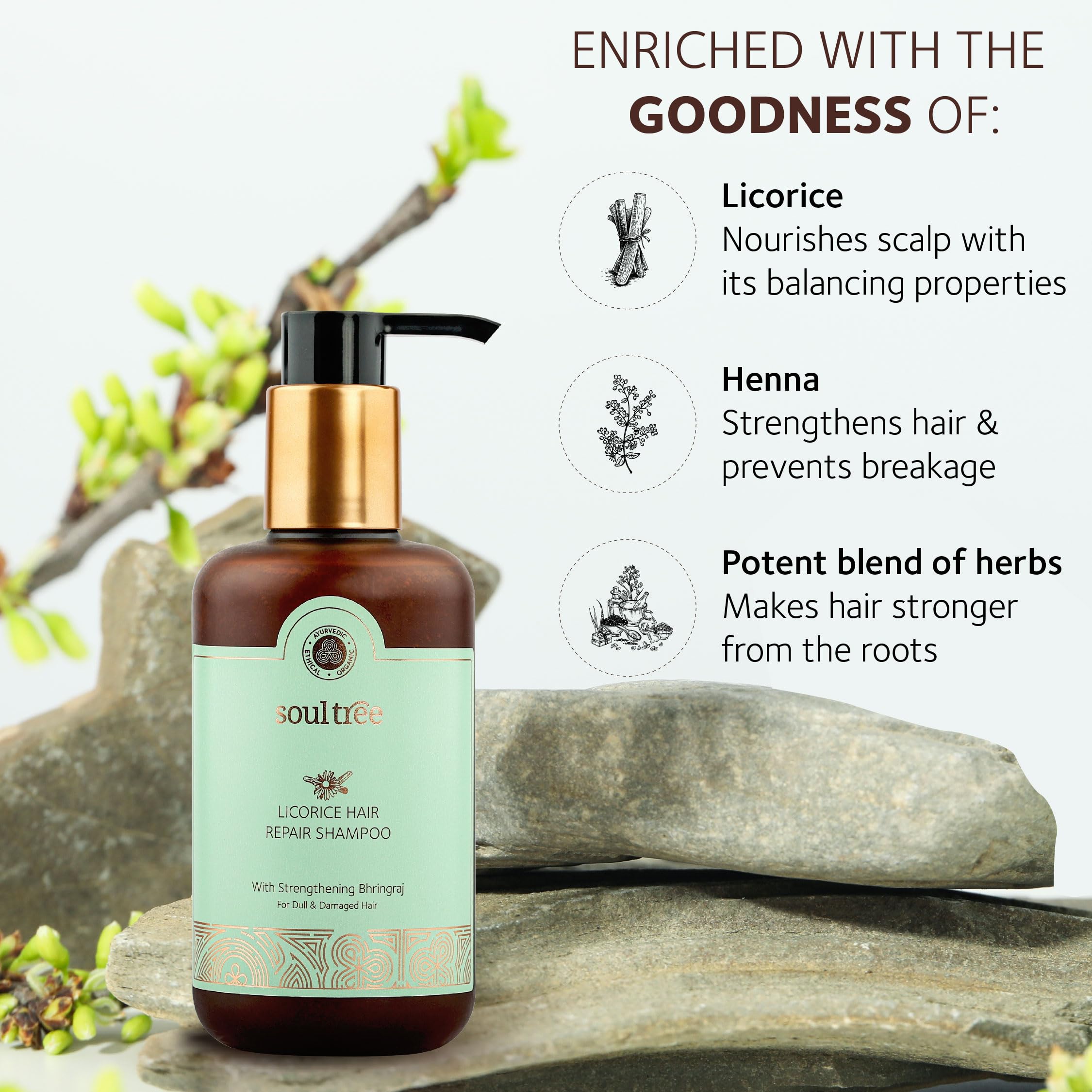 SoulTree Licorice Hair Repair Shampoo with Strengthening Bhringraj – view 2