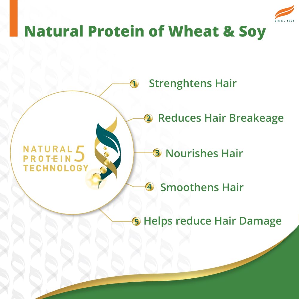 Himalaya Gentle Daily Care Natural Protein Shampoo, With Chickpea, Licorice & Amla, For Women & Men, 340 ml – view 4