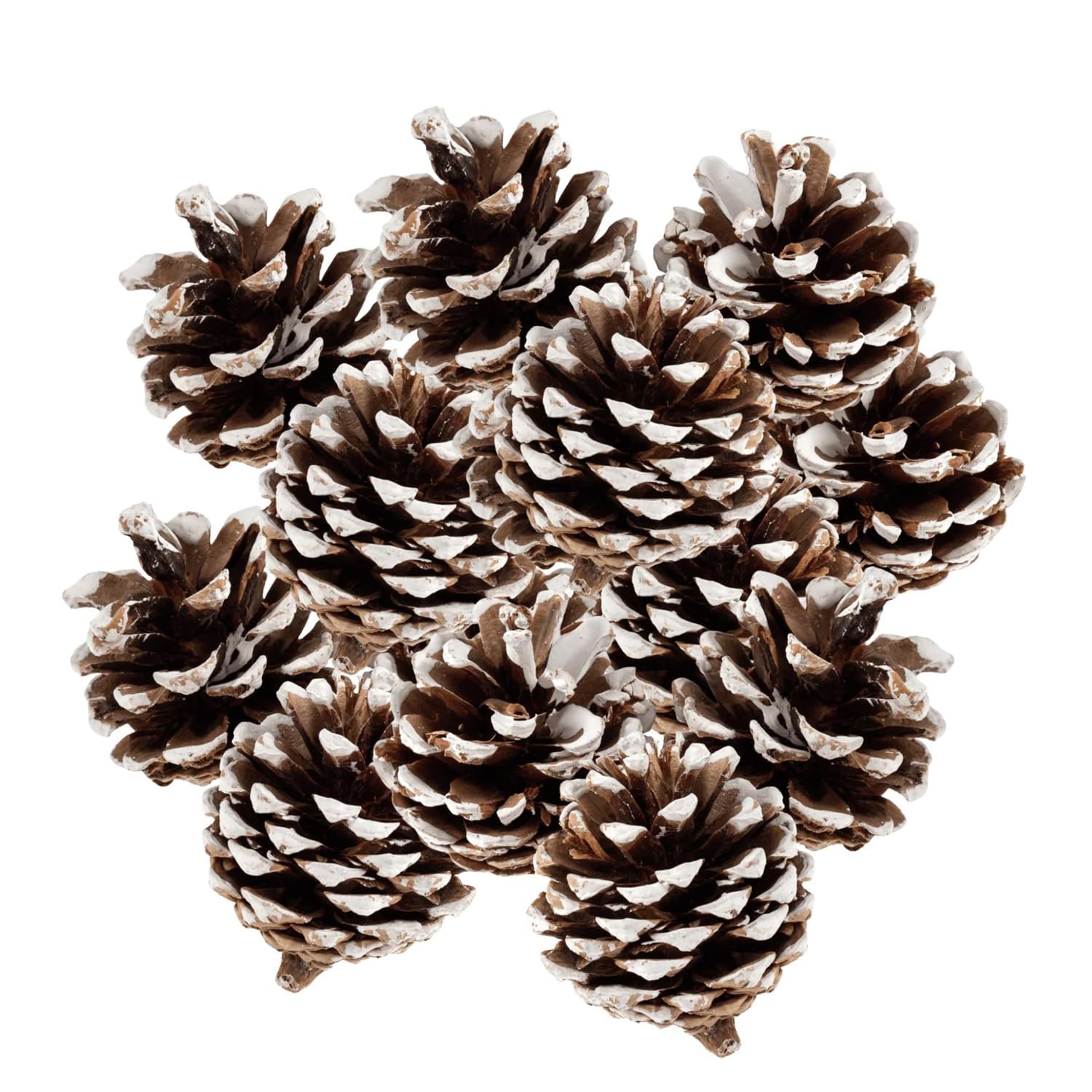 TIED RIBBONS Set of 12 Christmas Tree Decoration Items Pine Cones Small Hanging Ornaments Props Accessories Xmas Decor - Christmas Decorations Items for Home – view 5