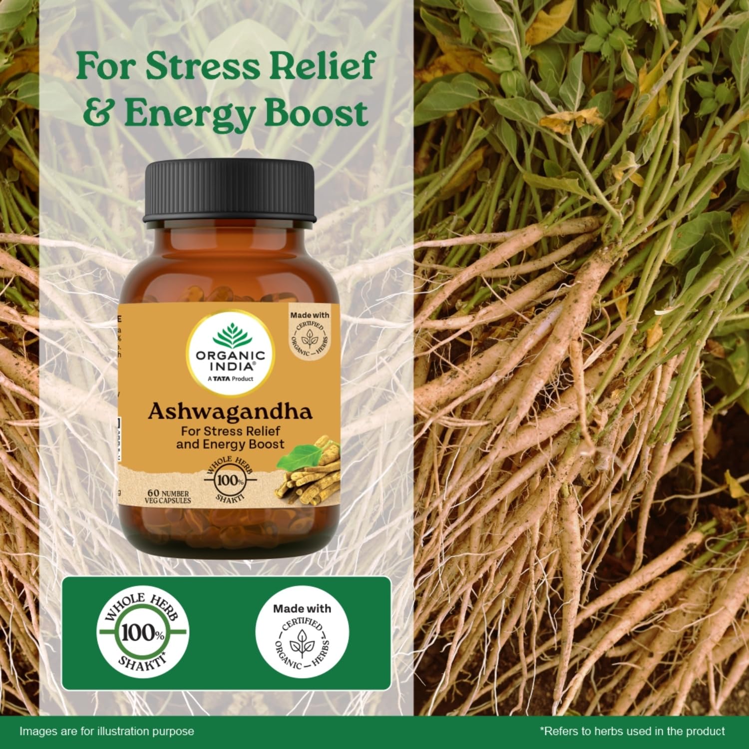 A TATA Product - Organic India Pure Ashwagandha Root Capsules - 60 Veg Caps (400mg), For Vitality & Relieves Stress, Naturally Boosts Energy & Stamina, Improves Immune System, GMP & NPOP Certified – view 3