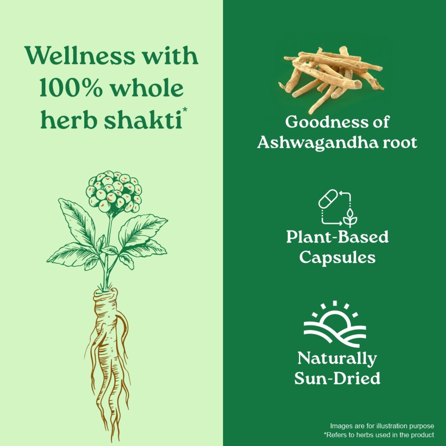 A TATA Product - Organic India Pure Ashwagandha Root Capsules - 60 Veg Caps (400mg), For Vitality & Relieves Stress, Naturally Boosts Energy & Stamina, Improves Immune System, GMP & NPOP Certified – view 5