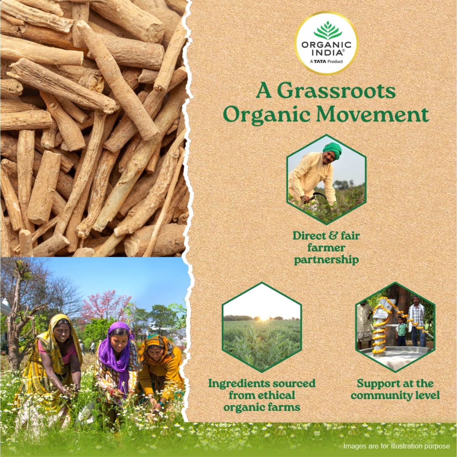 A TATA Product - Organic India Pure Ashwagandha Root Capsules - 60 Veg Caps (400mg), For Vitality & Relieves Stress, Naturally Boosts Energy & Stamina, Improves Immune System, GMP & NPOP Certified – view 8