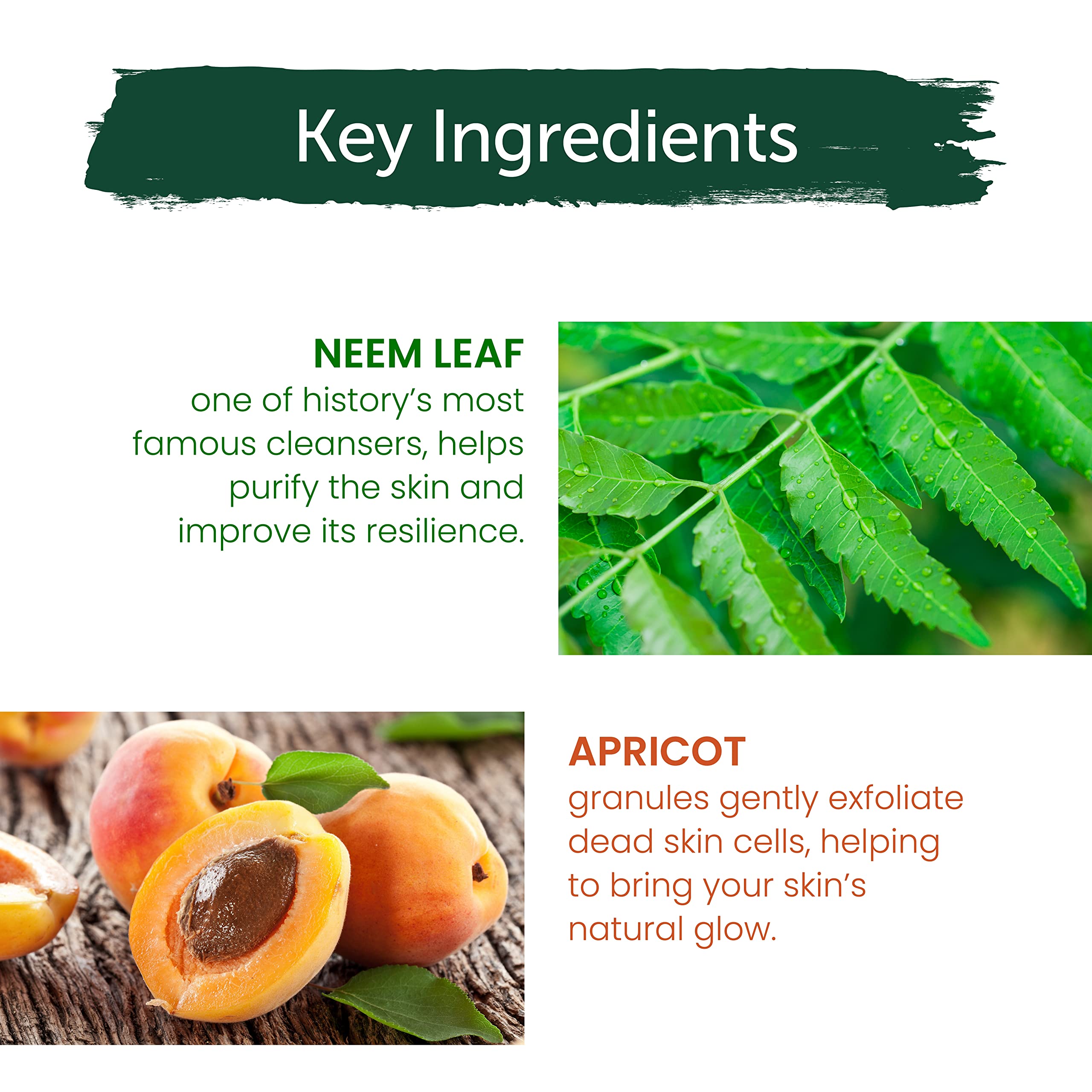 Himalaya Herbals Purifying Neem Scrub, 100gm – view 5
