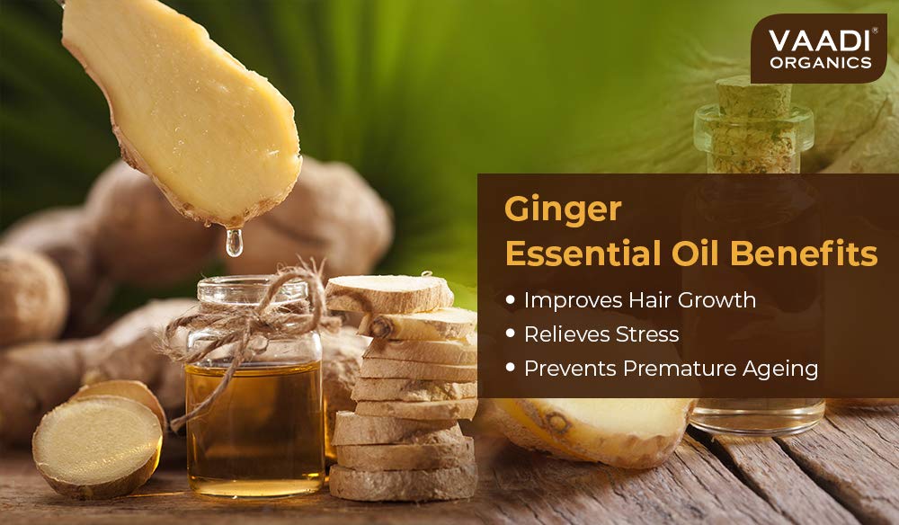 Vaadi Herbals Ginger Essential Oil - Tones Skin, Prevents Hairfall, Soothing Woody Aroma - 100% Pure Therapeutic Grade, 10 ml – view 3