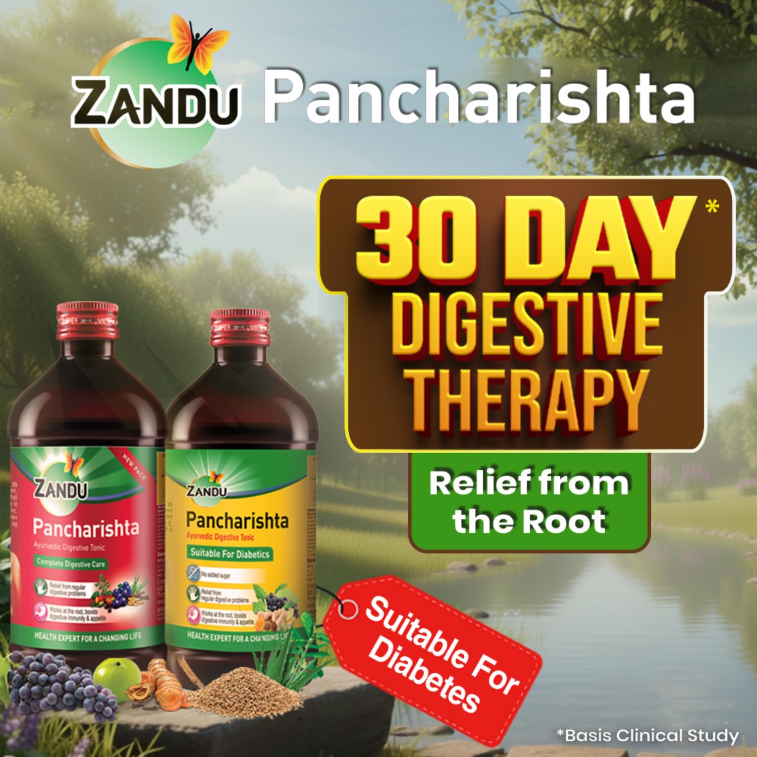 Zandu Pancharishta Ayurvedic Digestive Tonic 650ML – view 6