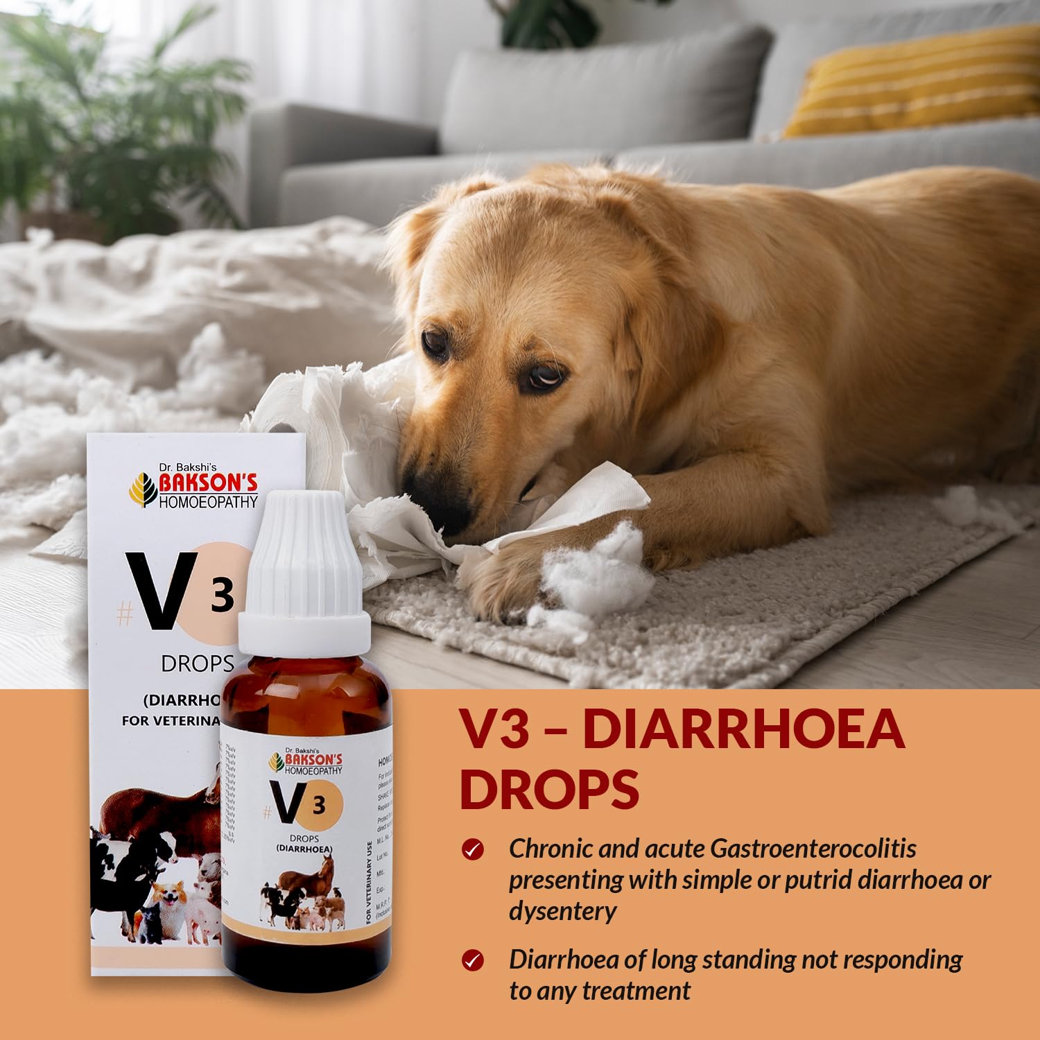 Bakson Veterinary – view 3