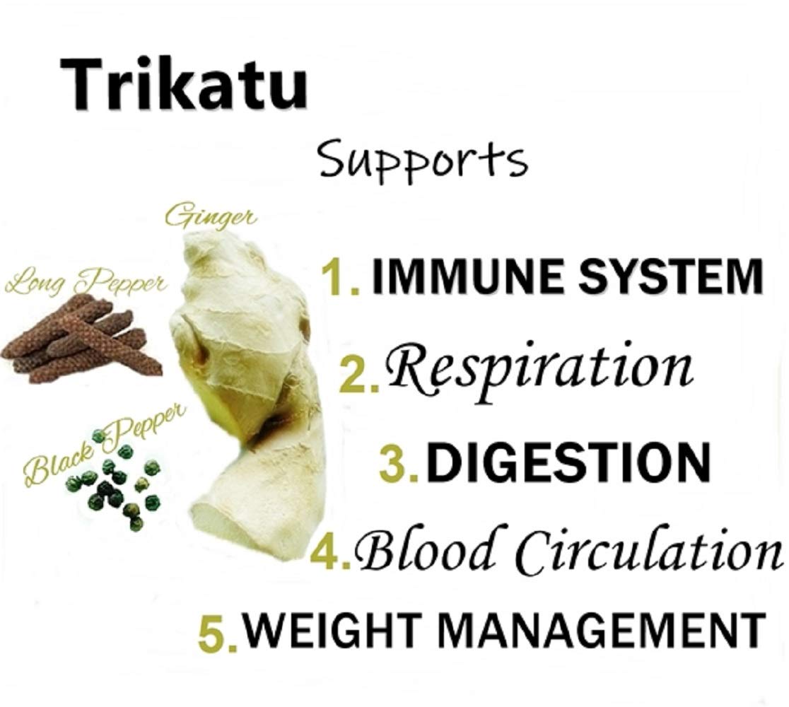Himalaya Wellness Pure Herbs Trikatu Digestive Wellness - 60 Tablet – view 3