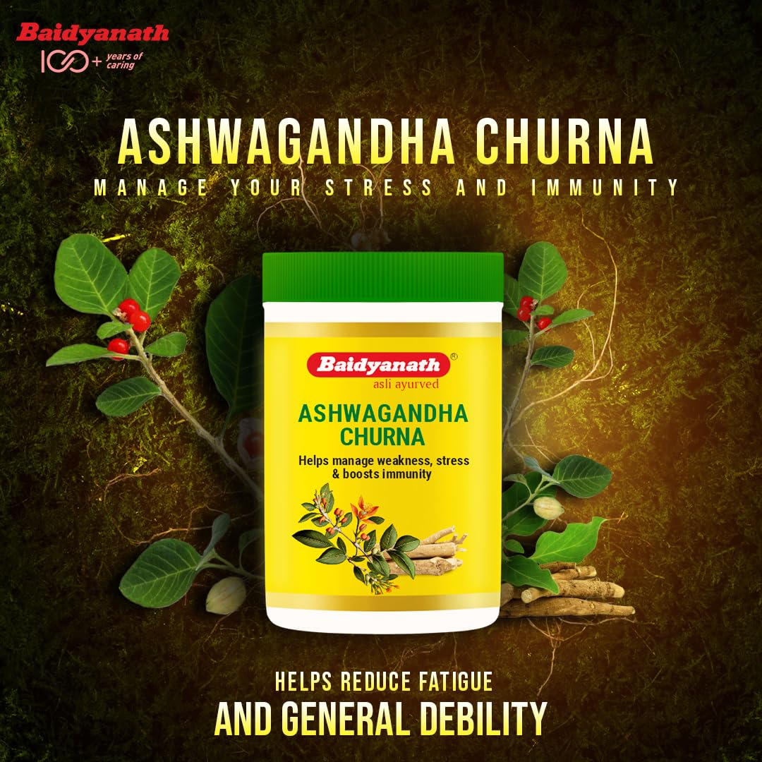 Baidyanath Ashwagandha Churna – view 2