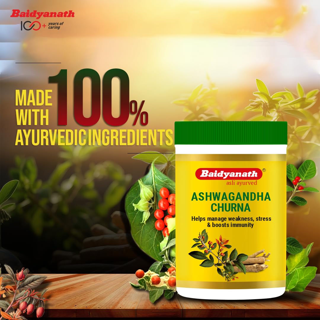 Baidyanath Ashwagandha Churna – view 3