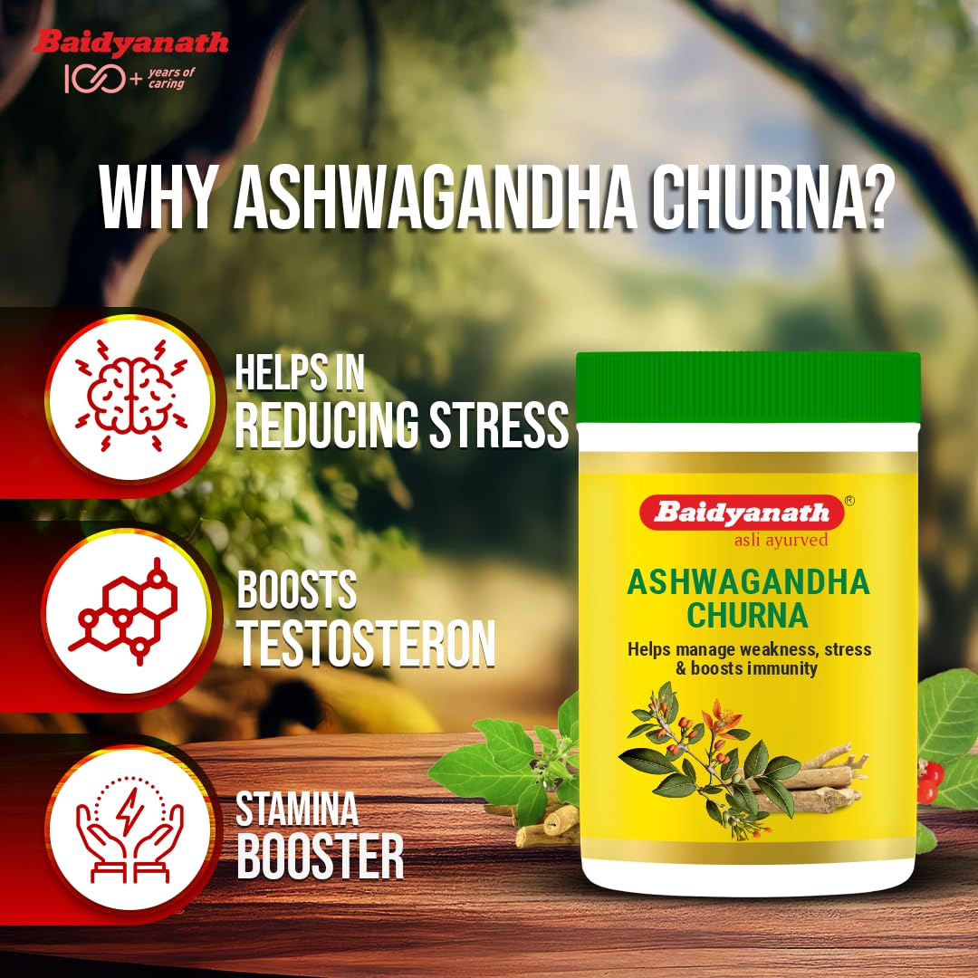 Baidyanath Ashwagandha Churna – view 4
