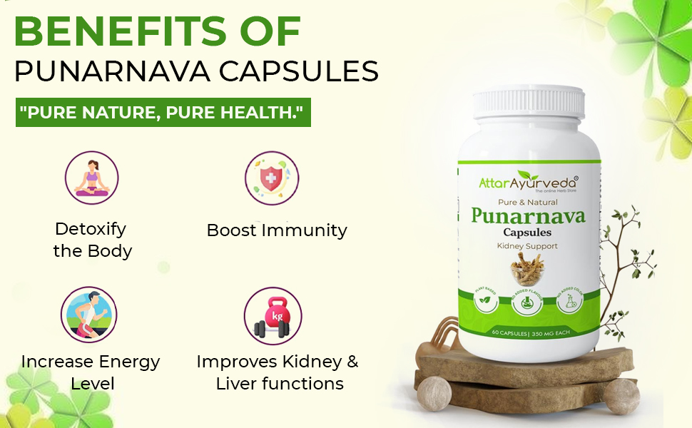 Attar Ayurveda Punarnava Capsules 350 mg - 60 capsules for Kidney Support | Support Digestion, Detoxify Body | Pure and Natural | Non-GMO