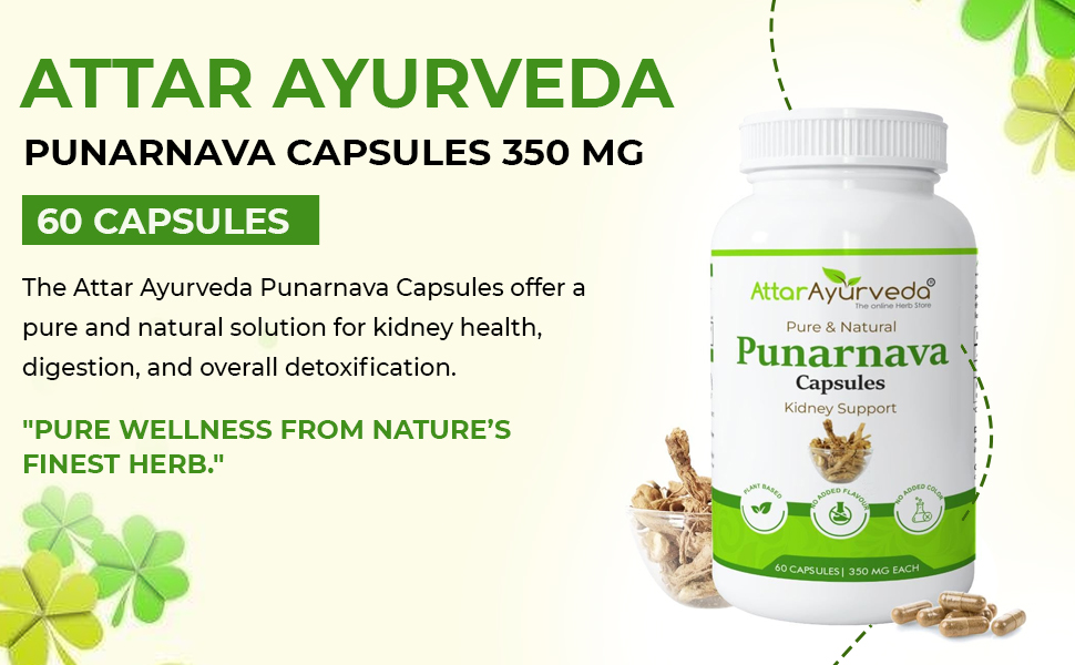 Attar Ayurveda Punarnava Capsules 350 mg - 60 capsules for Kidney Support | Support Digestion, Detoxify Body | Pure and Natural | Non-GMO
