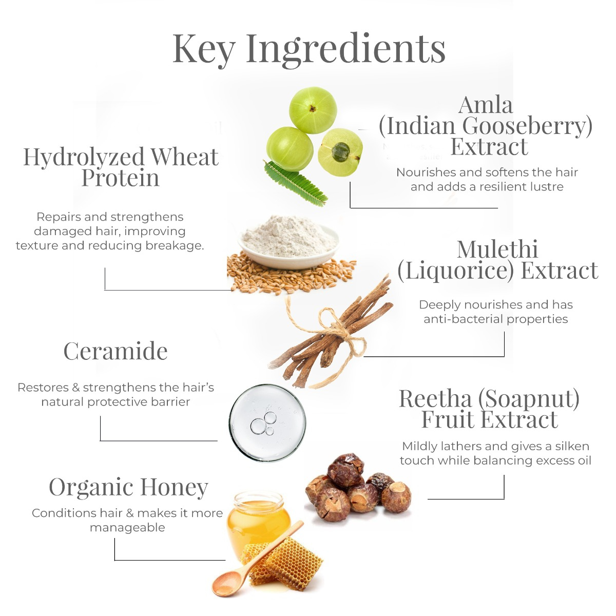 Forest Essentials Ayurvedic Hair Conditioner Amla, Honey & Mulethi – view 3