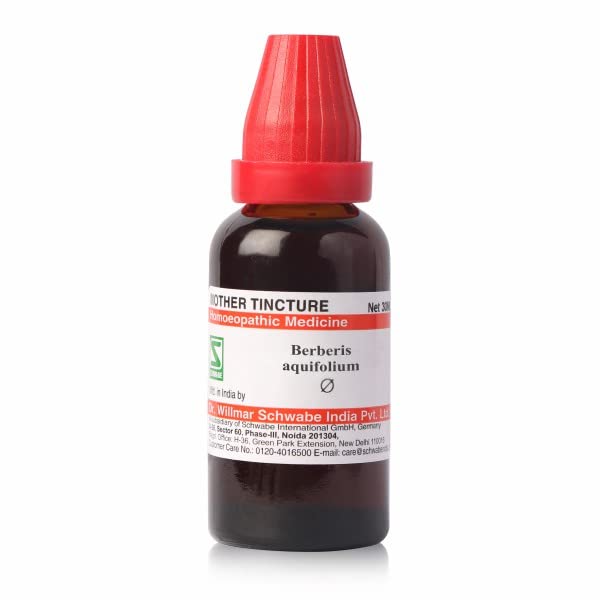 Dr.Willmar Schwabe Berberis Aquifolium Q Mother Tincture 100 ml – view 2