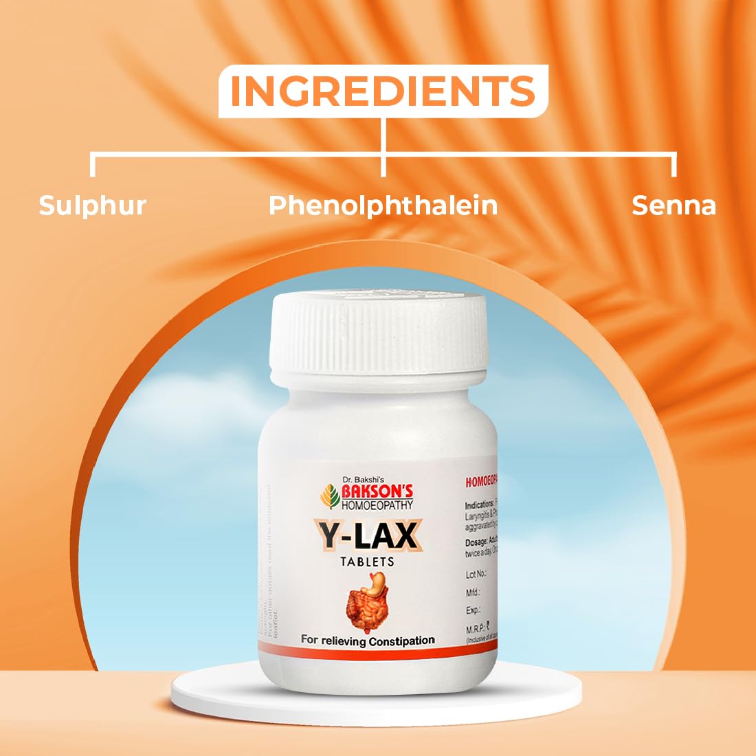 Dr. Bakshi's Bakson's Homoeopathy Y-Lax Tablets, 90 Tablets (2 Packs of 45) – view 3