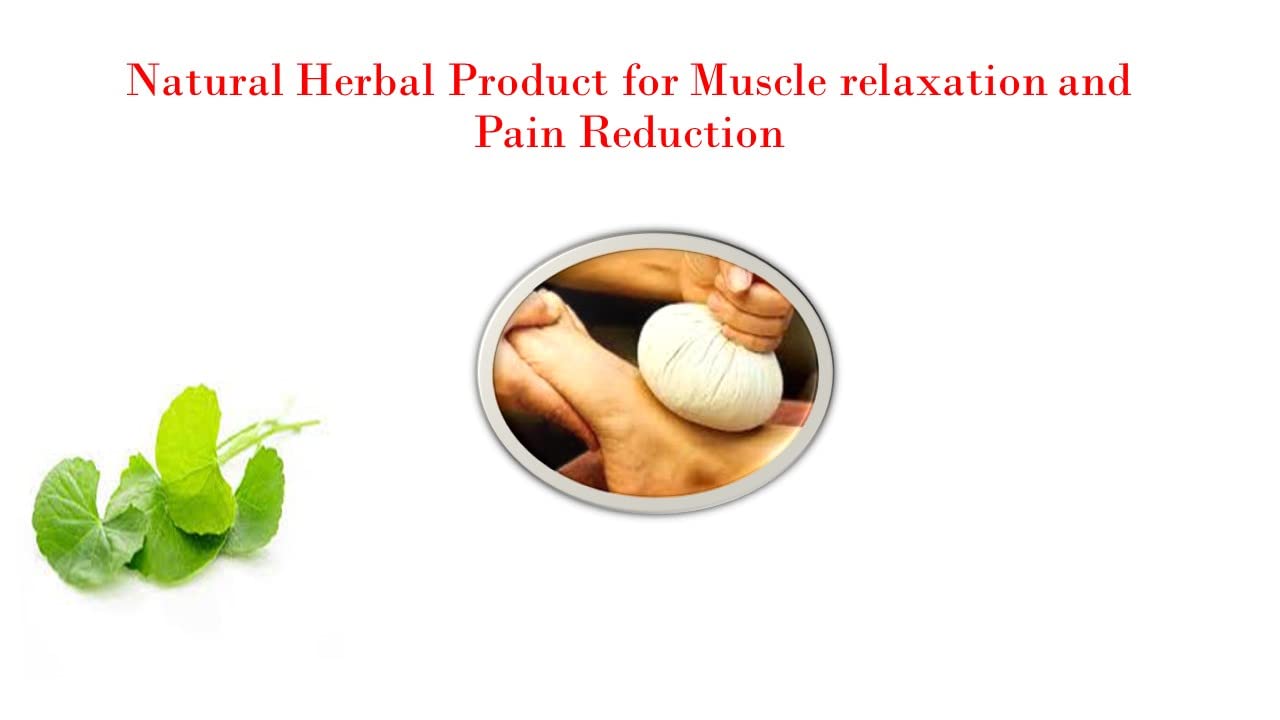 Prasanthi Gardens Ayurveda Kizhi Herbal Massage Boluses Set of 2 – view 3