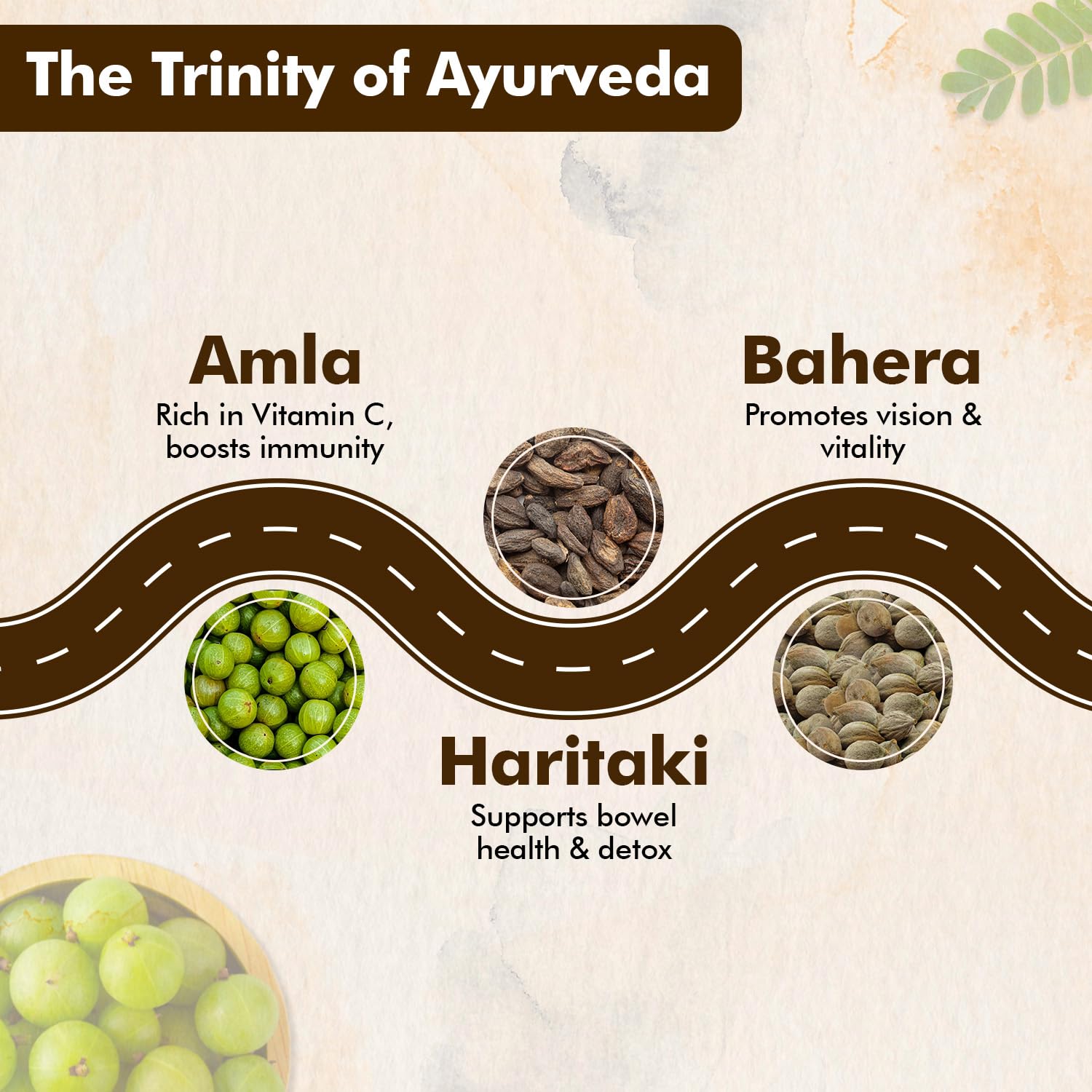 Baidyanath Ayurved Triphala 60 Tablets (500 mg per Serving) – view 4