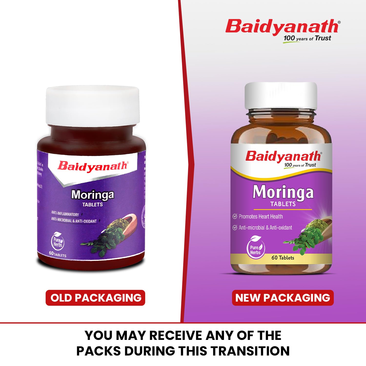 Baidyanath Ayurved Moringa Tablets, 60 Tabs – view 2