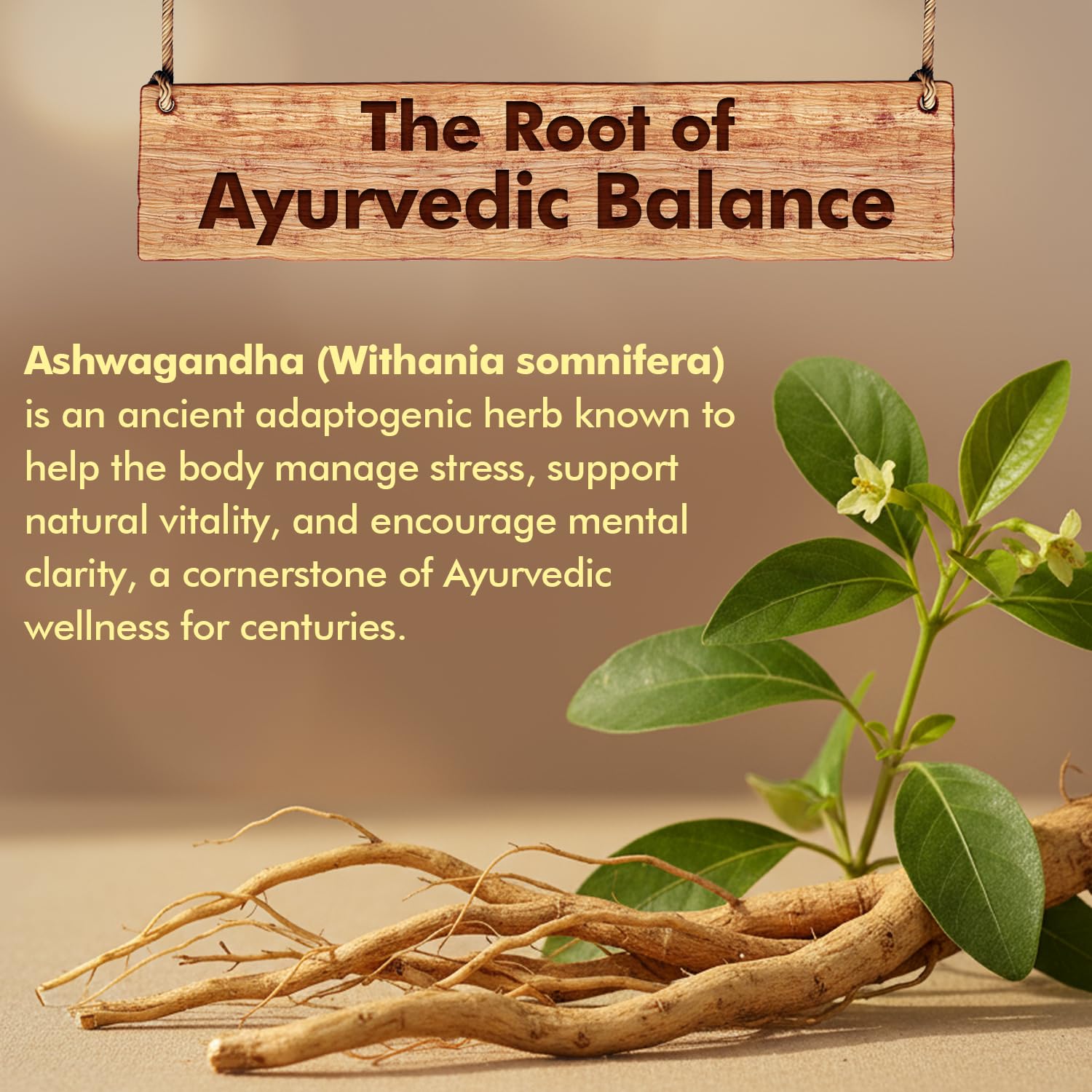 Baidyanath Ayurved Ashwagandha 60 Tablets – view 3