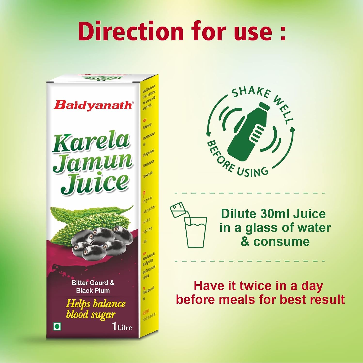 Baidyanath Ayurved Karela Jamun Juice 1L – view 4