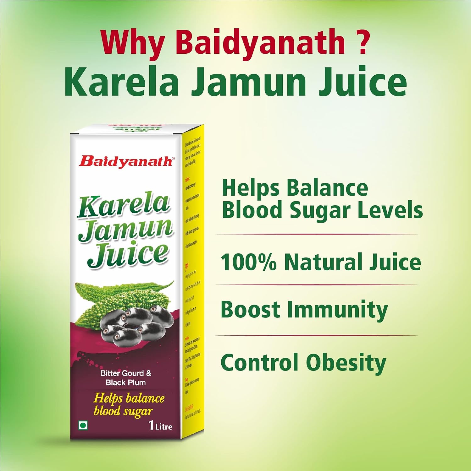 Baidyanath Ayurved Karela Jamun Juice 1L – view 5